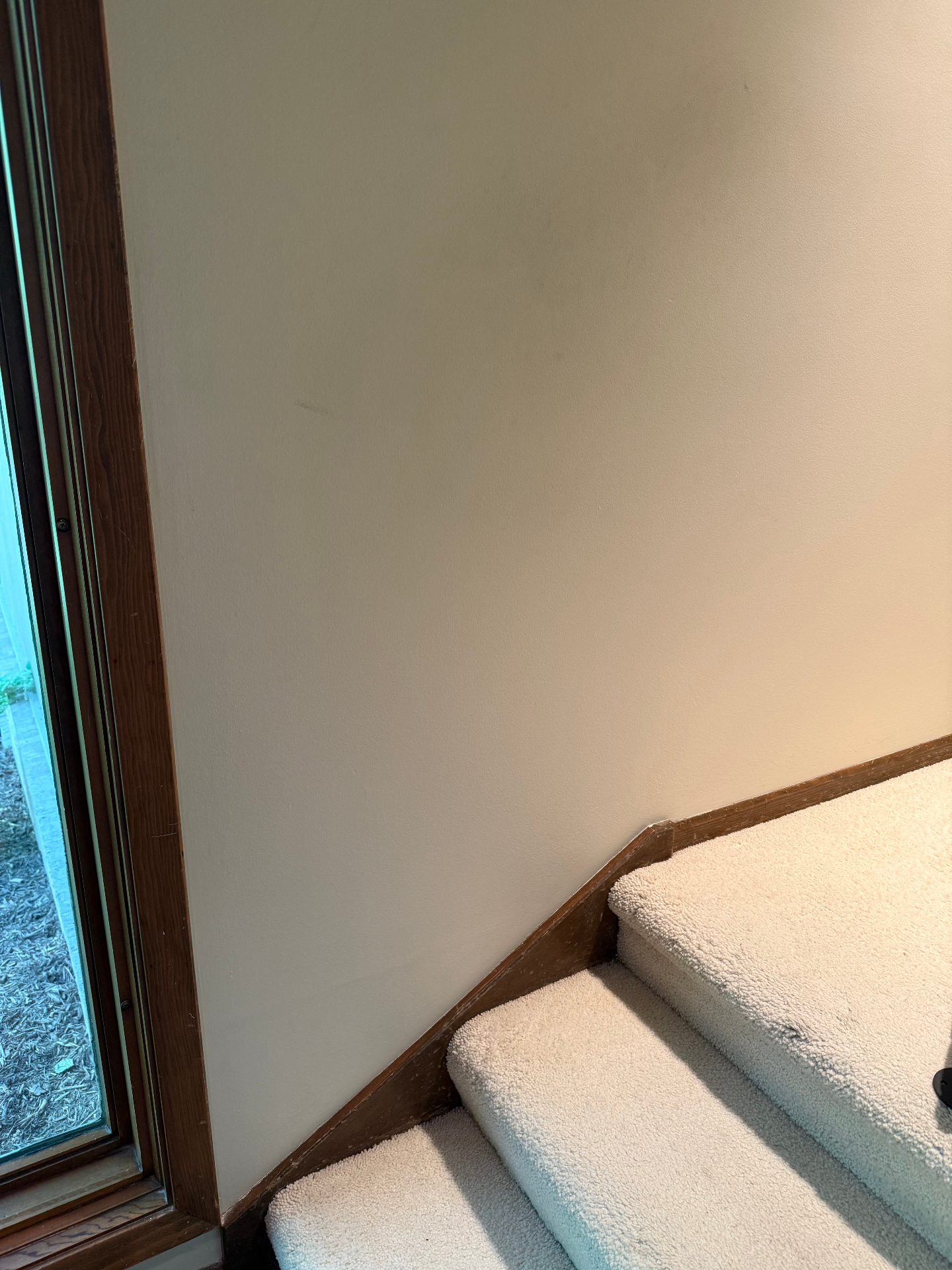Bare interior stairway wall next to carpeted steps before a handrail was installed